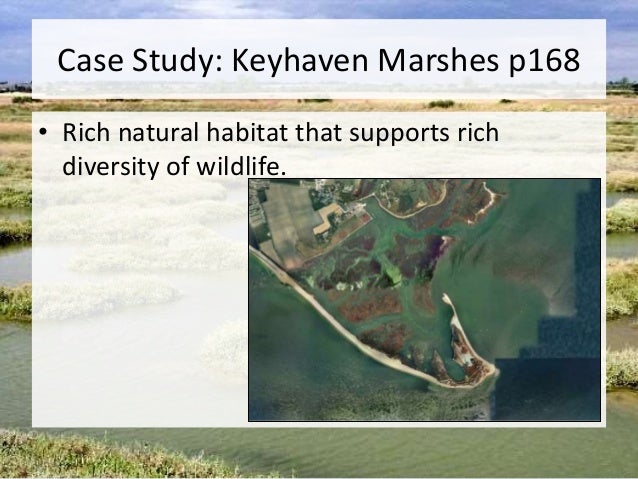 Keyhaven salt marsh case study 03 image