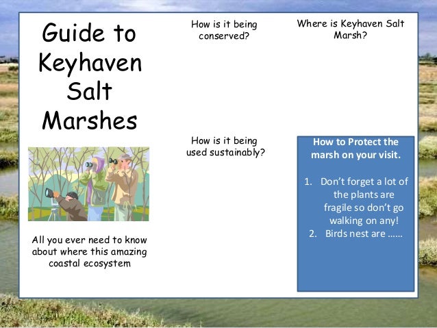Keyhaven salt marsh case study picture