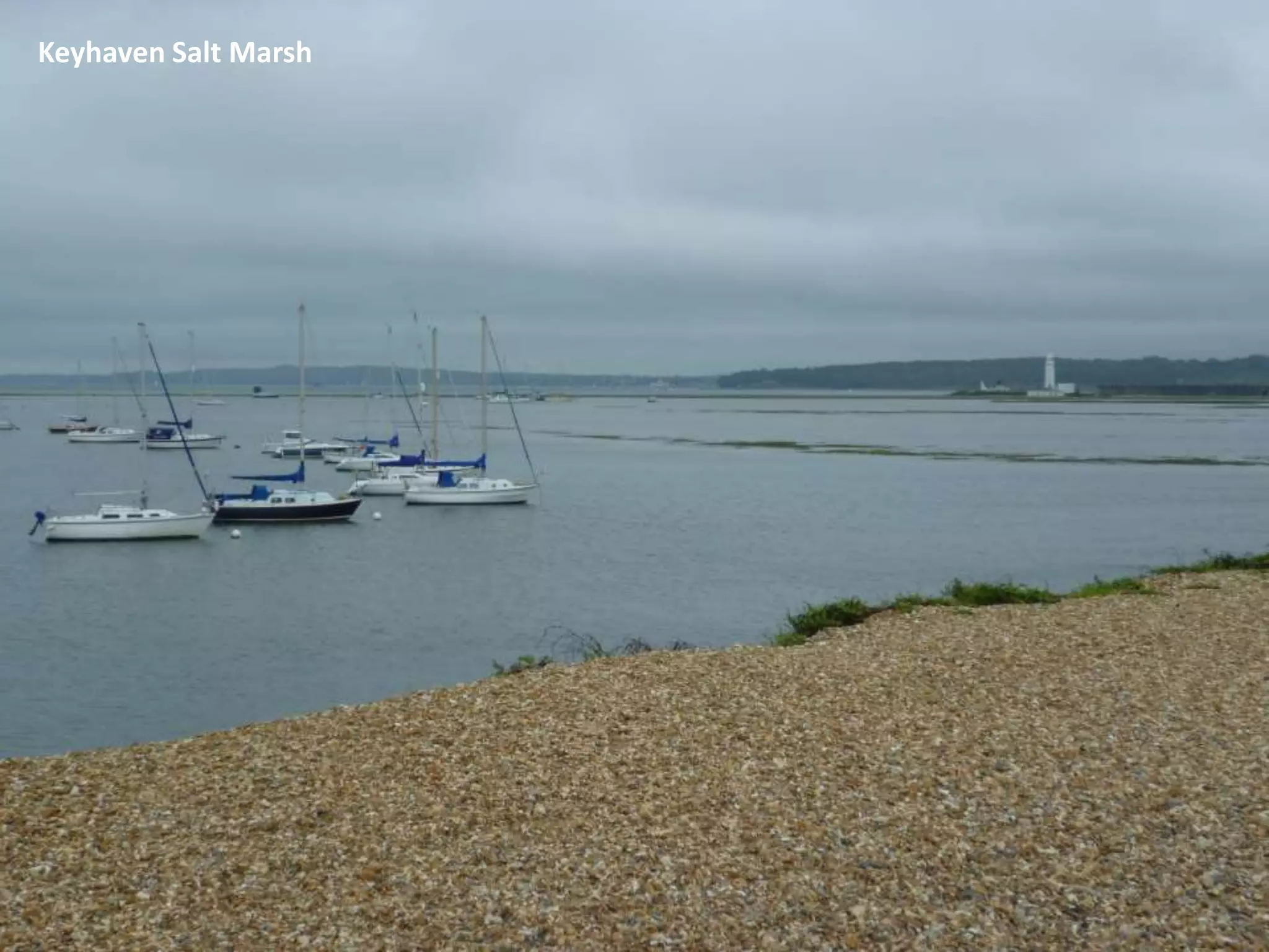 Keyhaven Salt Marsh
 
