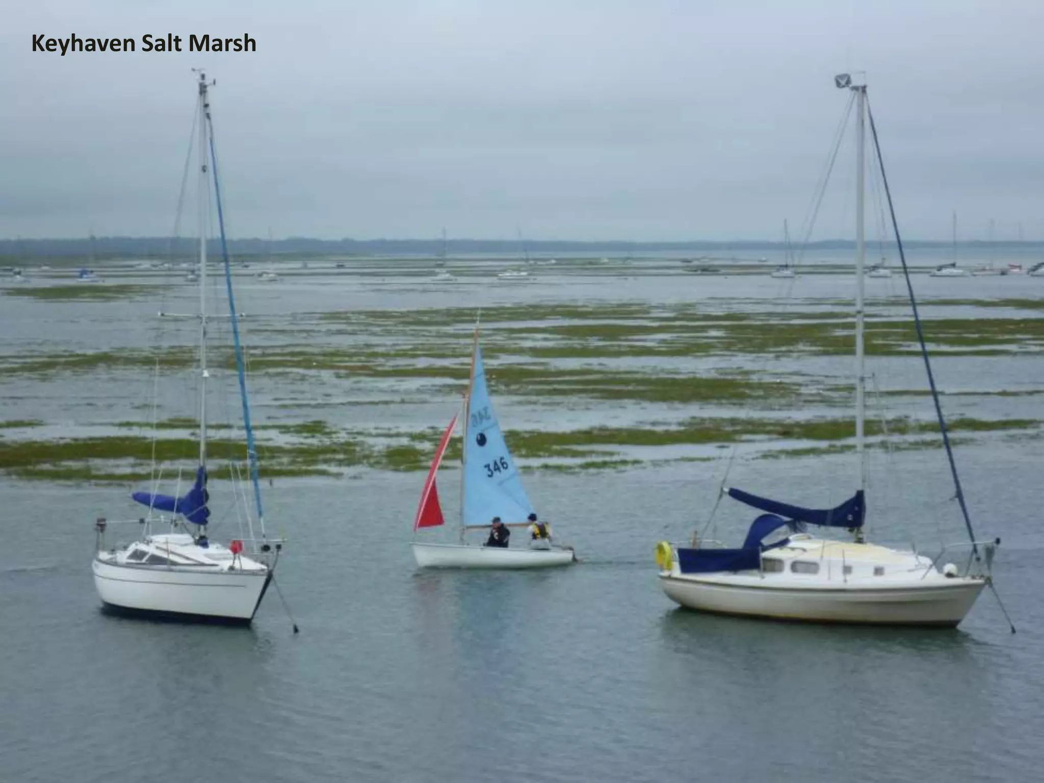 Keyhaven Salt Marsh
 