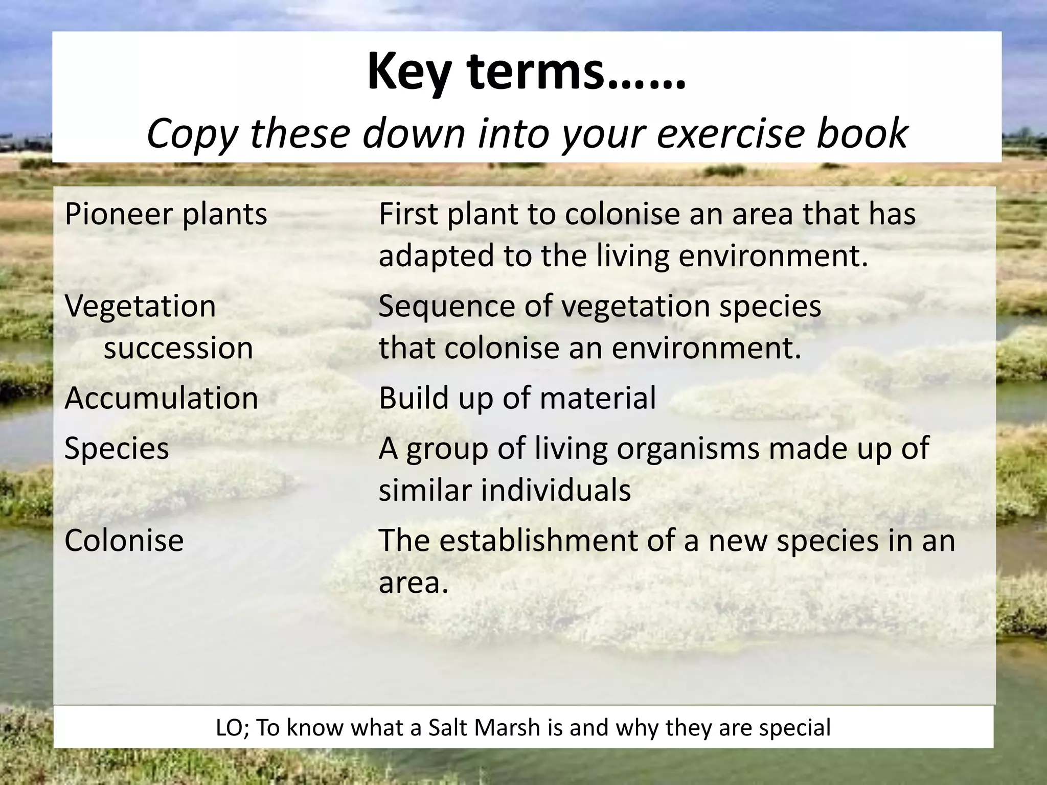 Key terms……
Copy these down into your exercise book
Pioneer plants First plant to colonise an area that has
adapted to the living environment.
Vegetation Sequence of vegetation species
succession that colonise an environment.
Accumulation Build up of material
Species A group of living organisms made up of
similar individuals
Colonise The establishment of a new species in an
area.
LO; To know what a Salt Marsh is and why they are special
 