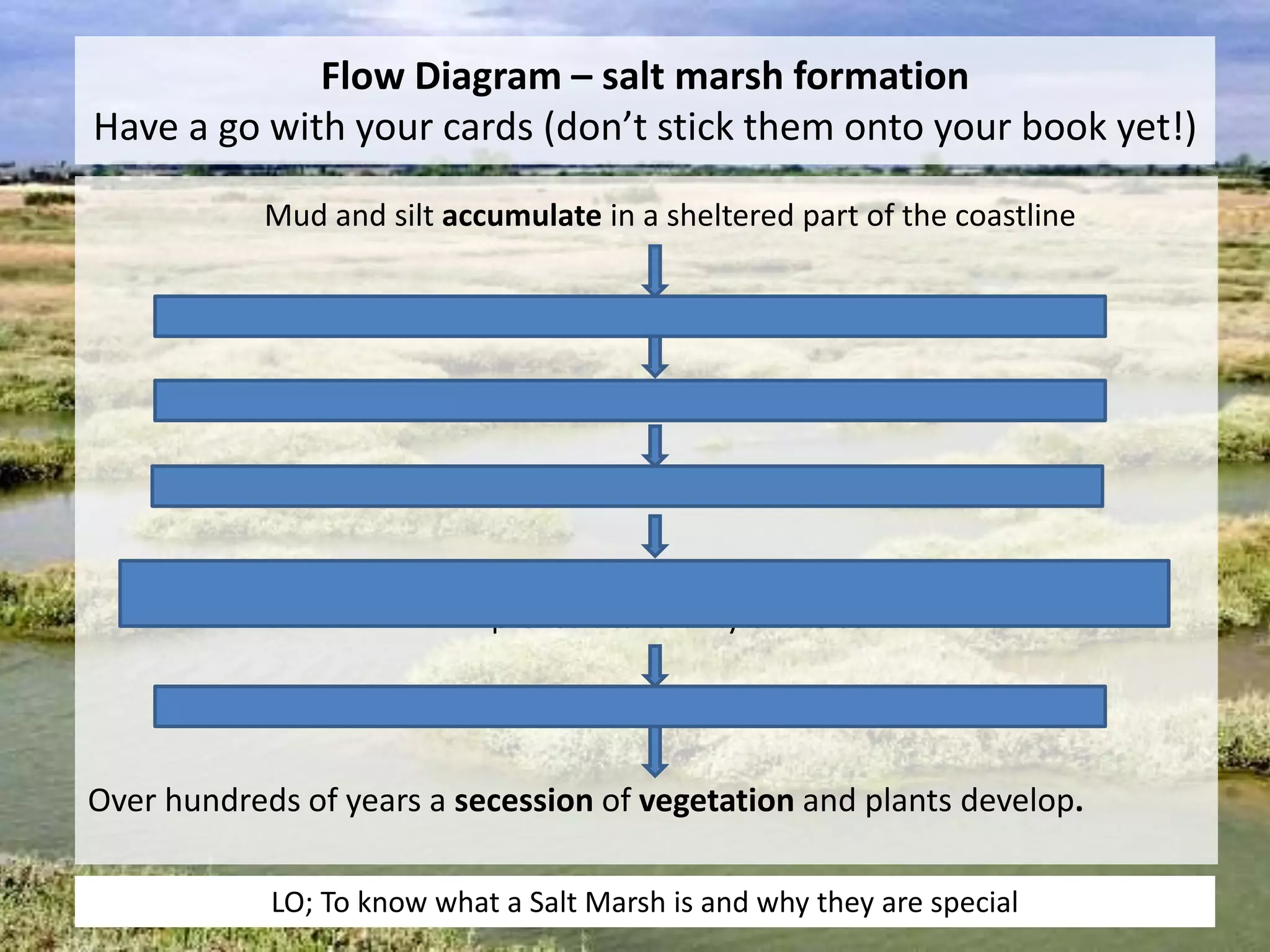 Flow Diagram – salt marsh formation
Have a go with your cards (don’t stick them onto your book yet!)
Mud and silt accumulate in a sheltered part of the coastline
Salt tolerant plants such as cord grass start to colonise the mudflats
The early plants like cord grass are called Pioneer plants
Its tangled roots help to stabilise the sediment and trap mud
Over time as rainwater washes out the salt, the decomposing plant matter
improves the fertility of the soil
New plant species start to colonise the area
Over hundreds of years a secession of vegetation and plants develop.
LO; To know what a Salt Marsh is and why they are special
 