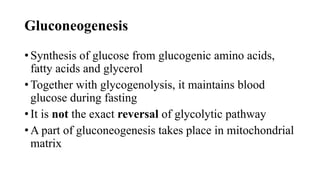 Comprehensive Overview of Carbohydrate Metabolism: Glycogen and ...