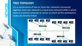 CSS L12 STRUCTURE OF COMPUTER NETWORK | PDF