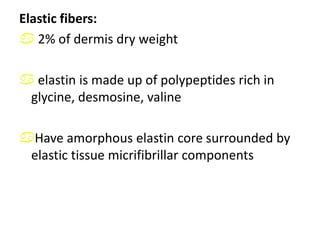 Tonofilaments packed into bundles called   tonofibrils, more numerous in this layer