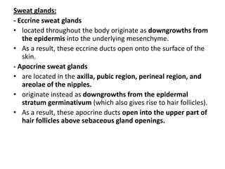 Thickness greatest in palm & soles & least in eyelids & penis