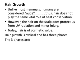  elastin is made up of polypeptides rich in glycine, desmosine, valine