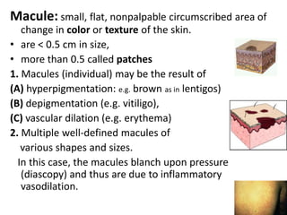 Provides bulk act as shock absorberMusclesSmooth arrectorpili muscle is vestigial in 