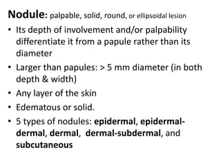Striated fibers (platysma) & some of muscles of facial expression found in dermisBlood vesselsRegulate body temprature2 main horizontal plexus, superficial & deepUnder sympathetic nervous control arteriovenous anastamoses can shunt blood to venous plexus reducing surface heat loss by convection