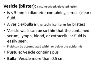 NervesOne million nerve fibers mostly in the face & extremitiesCell bodies are in dorsal root gangliaBoth mylinated & unmyelinated fibers existItch is follow stimulation of free nerve endings close to dermo-epidermal junction