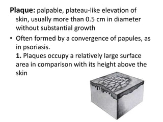 Hair Matrix: is the inferior portion including the hair bulb