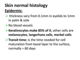 Skin normal histologyEpidermis: thickness vary from 0.1mm in eyelids to 1mm in palm & sole