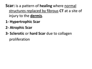 Pustule:superficial, elevated lesion    that contains pus (pus in a blister).  may vary in size and shape.  The color may appear white, yellow, or greenish-yellow depending on the color of the pus.  Pus is composed of leukocytes with or without cellular debrismay also contain bacteria or may be sterile1. A pustule is basically a papule containing pus2. Superficial, subcorneal pustules ( e.g. pustularpsoriasis) `																																																																	