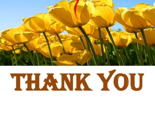 Petechiae: pinhead sized macules of blood