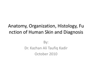 Anatomy, Organization, Histology, Function of Human Skin and Diagnosis By: Dr. Kazhan Ali Taufiq Kadir October 2010 