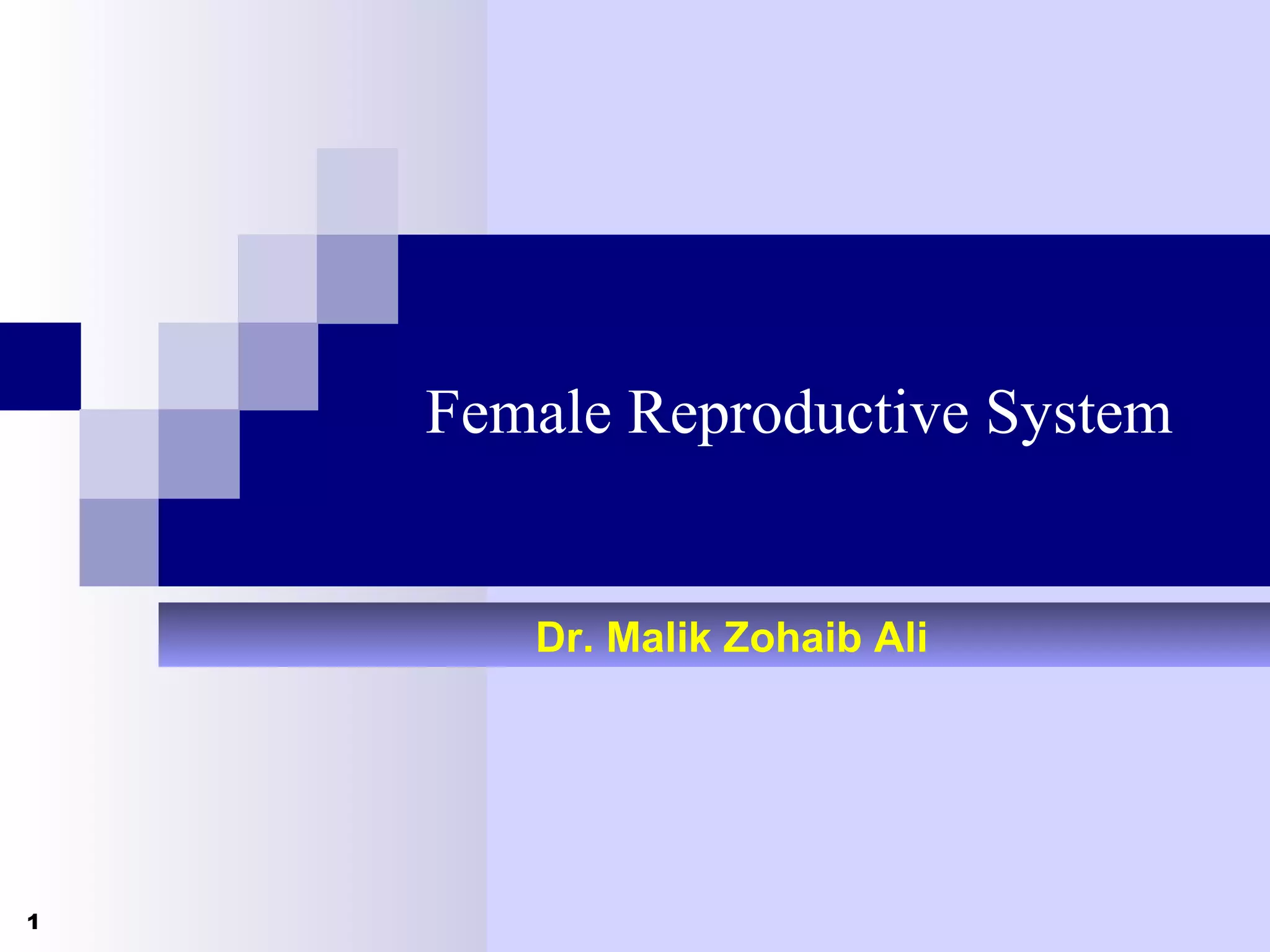 Female Reproductive System | PPT