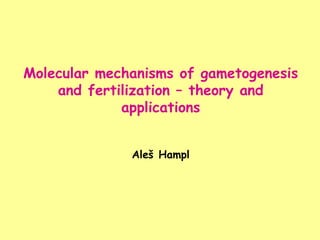 Molecular mechanisms of gametogenesis and fertilization – theory and applications Aleš Hampl 