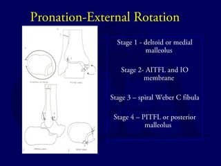 External Rotation Of Ankle