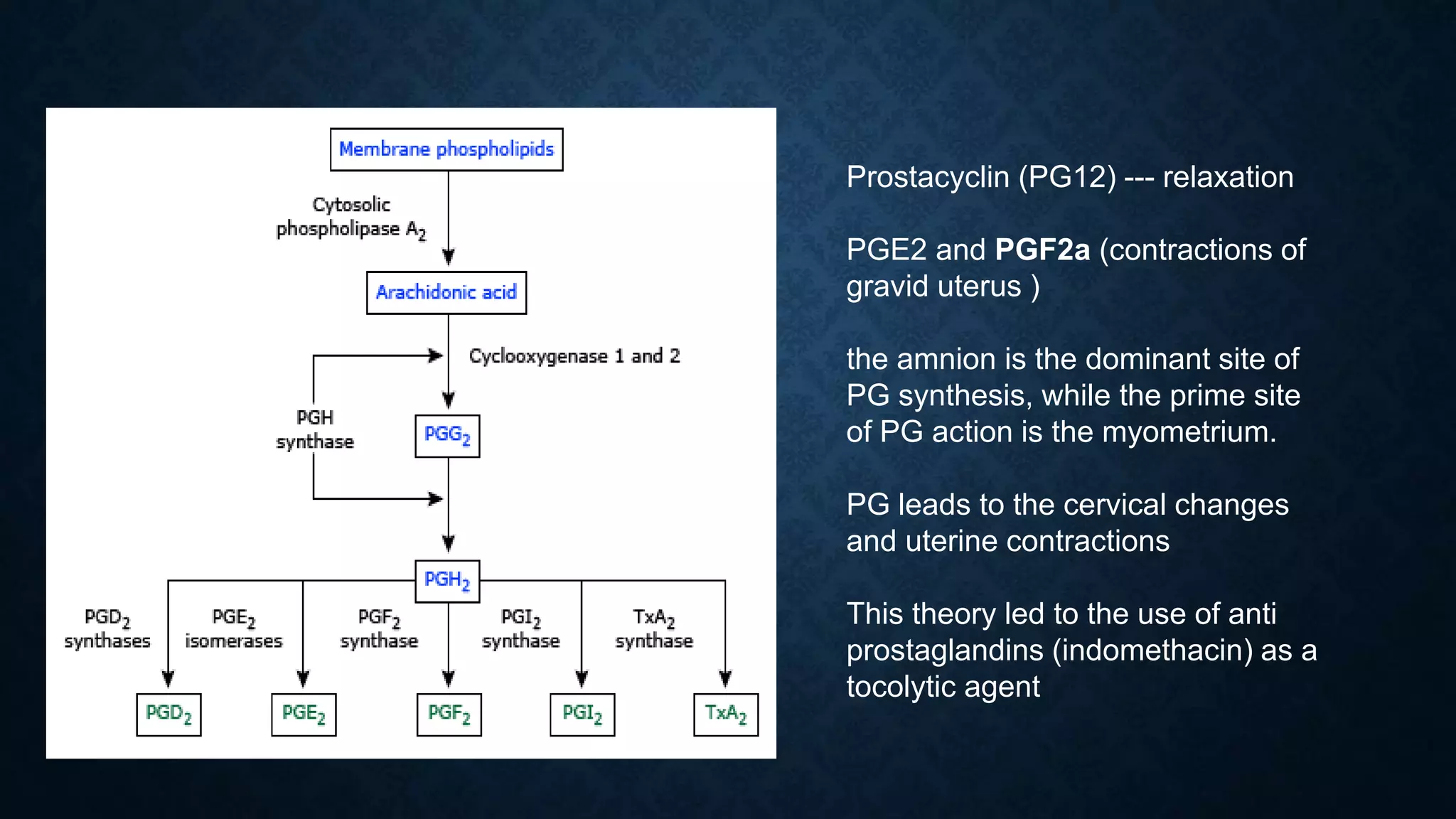 Lecture 22 Preterm Labor.pptx