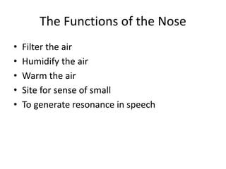 The Functions of the Nose
• Filter the air
• Humidify the air
• Warm the air
• Site for sense of small
• To generate resonance in speech
 