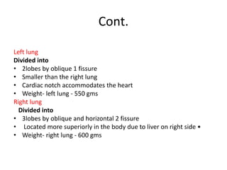 Cont.
Left lung
Divided into
• 2lobes by oblique 1 fissure
• Smaller than the right lung
• Cardiac notch accommodates the heart
• Weight- left lung - 550 gms
Right lung
Divided into
• 3lobes by oblique and horizontal 2 fissure
• Located more superiorly in the body due to liver on right side •
• Weight- right lung - 600 gms
 