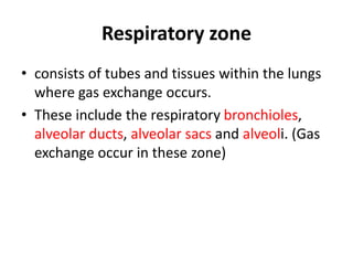 Respiratory zone
• consists of tubes and tissues within the lungs
where gas exchange occurs.
• These include the respiratory bronchioles,
alveolar ducts, alveolar sacs and alveoli. (Gas
exchange occur in these zone)
 