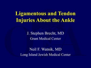 Ppt Injuries To The Lower Leg Ankle And Foot PPT FOOT, ANKLE AND