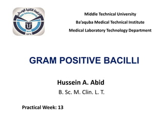 GRAM POSITIVE BACILLI
Hussein A. Abid
B. Sc. M. Clin. L. T.
Middle Technical University
Ba’aquba Medical Technical Institute
Medical Laboratory Technology Department
Practical Week: 13
 