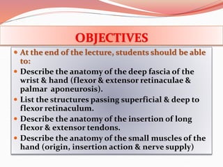 L13-Wrist & Hand.ppt