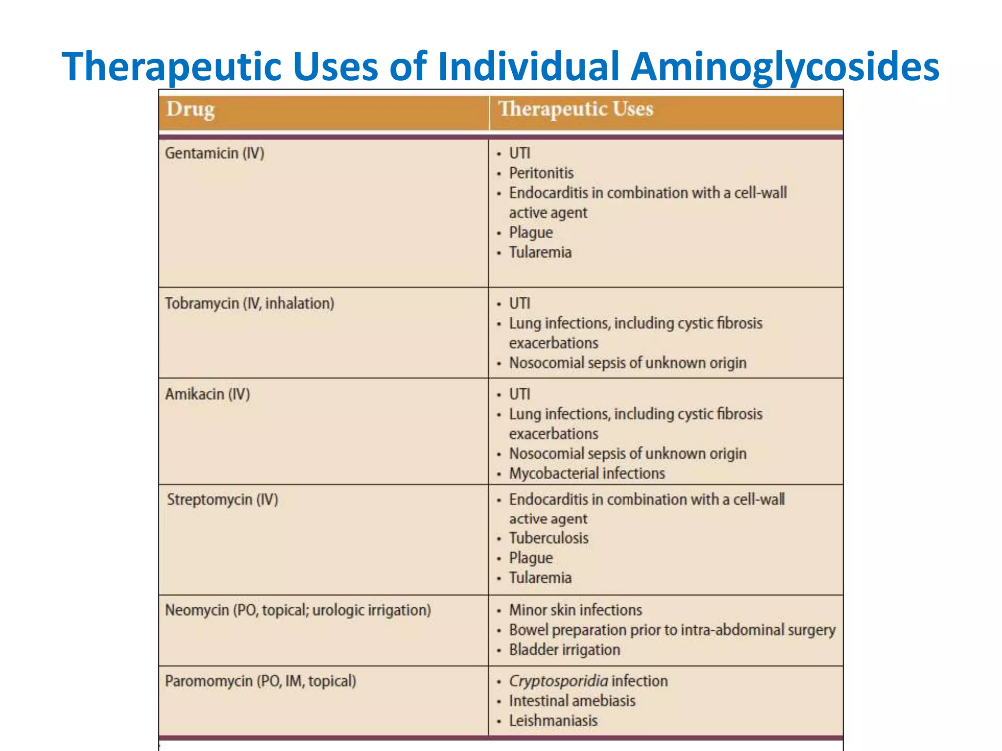 Aminoglycosides.pptx