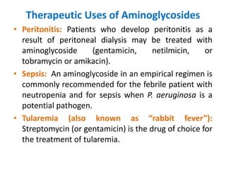 Therapeutic Uses of Aminoglycosides
• Peritonitis: Patients who develop peritonitis as a
result of peritoneal dialysis may be treated with
aminoglycoside (gentamicin, netilmicin, or
tobramycin or amikacin).
• Sepsis: An aminoglycoside in an empirical regimen is
commonly recommended for the febrile patient with
neutropenia and for sepsis when P. aeruginosa is a
potential pathogen.
• Tularemia (also known as “rabbit fever”):
Streptomycin (or gentamicin) is the drug of choice for
the treatment of tularemia.
 