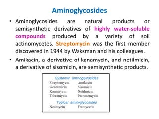 Aminoglycosides.pptx