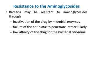 Resistance to the Aminoglycosides
• Bacteria may be resistant to aminoglycosides
through
– inactivation of the drug by microbial enzymes
– failure of the antibiotic to penetrate intracellularly
– low affinity of the drug for the bacterial ribosome
 