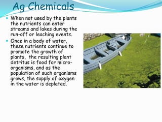 Ag Chemicals
 When not used by the plants
the nutrients can enter
streams and lakes during the
run-off or leaching events.
 Once in a body of water,
these nutrients continue to
promote the growth of
plants, the resulting plant
detritus is food for micro-
organisms, and as the
population of such organisms
grows, the supply of oxygen
in the water is depleted.
 