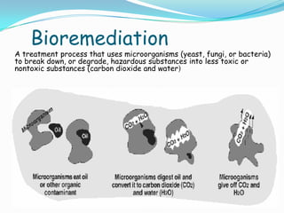 Bioremediation
A treatment process that uses microorganisms (yeast, fungi, or bacteria)
to break down, or degrade, hazardous substances into less toxic or
nontoxic substances (carbon dioxide and water)
 