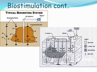 Biostimulation cont.
Biosparging
 
