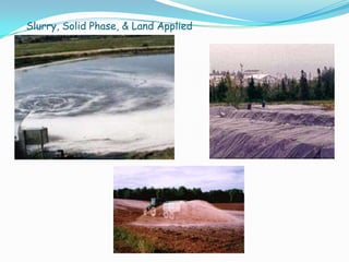 Slurry, Solid Phase, & Land Applied
 