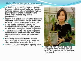 Using Plants for pollution cleanup
 Scientists are studying how plants can
be used to bind up soil pollution found at
national nuclear laboratories and nuclear
power plants, where radioactive and
other toxic wastes may reach
groundwater.
 Plants, soil, and microbes in the soil work
together to determine which metals and
nutrients plants take up from the soil.
 Some plants excrete a variety of
different chemicals into the soil, some
of which act as signals to soil organisms.
 The challenge is to find out how plants
release these chemicals and how these
chemicals interact with microbes and
soil.
 Eventually scientists may be able to
induce plants to release the chemicals
that immobilize wastes in the soil.
 Source: UC Davis Magazine Spring 2002
 Teresa Fan at UC Davis is
studying how plants can be
used to remove toxic wastes
from soil.
 