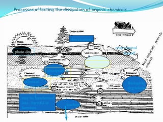 Processes affecting the dissipation of organic chemicals
photo-dec.
absorption &
exudation
volatilization
Biological
degradation
leaching
chemical
decomposition
Runoff
crop removal
detoxication
may be transformed
into - harmful or
harmless
 