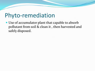Phyto-remediation
 Use of accumulator plant that capable to absorb
pollutant from soil & clean it , then harvested and
safely disposed.
 