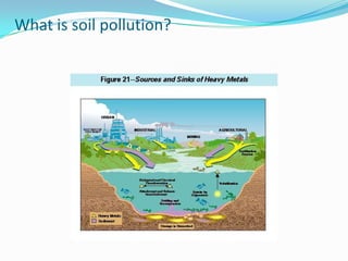 What is soil pollution?
 