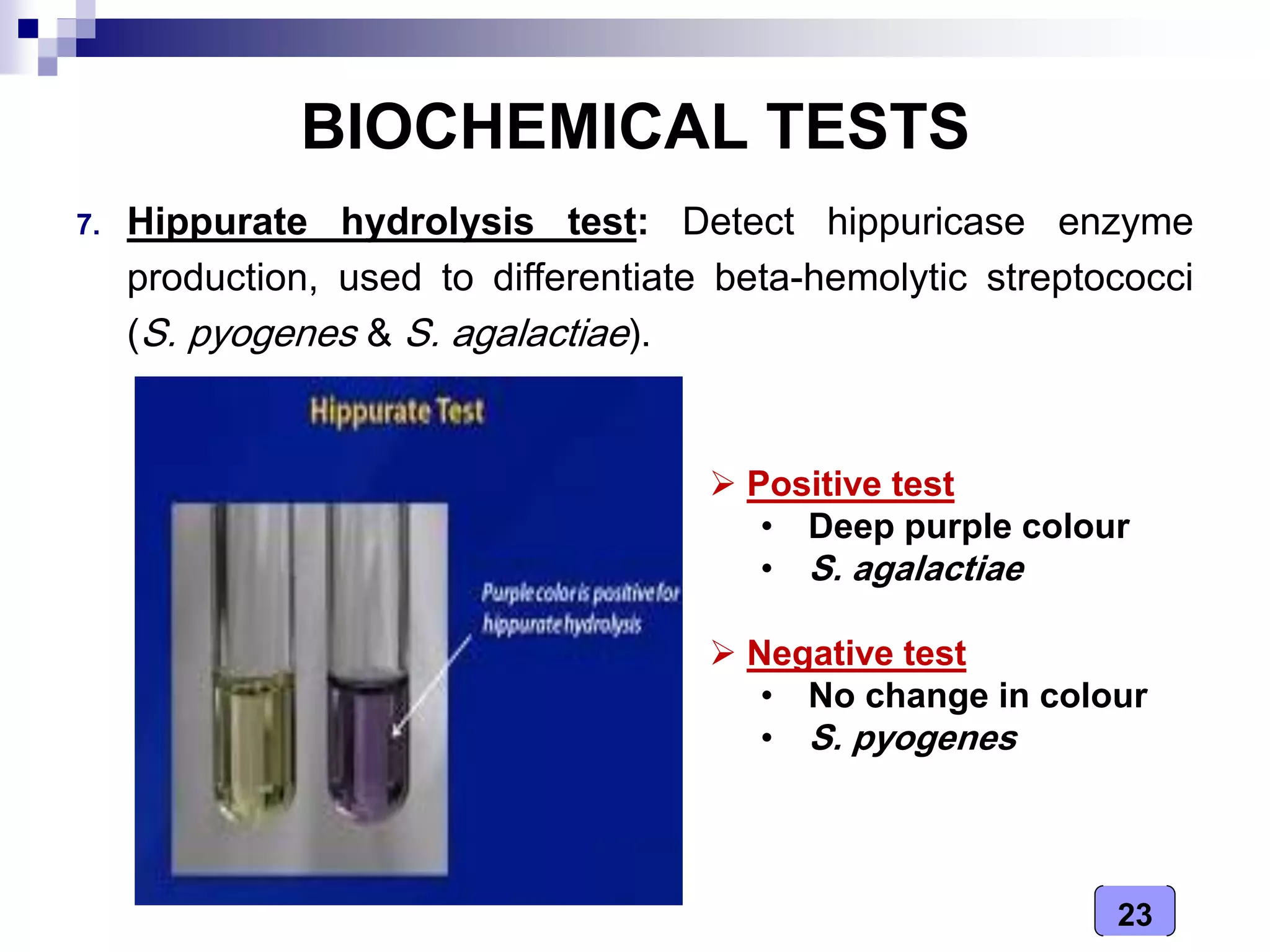 23
BIOCHEMICAL TESTS
7. Hippurate hydrolysis test: Detect hippuricase enzyme
production, used to differentiate beta-hemolytic streptococci
(S. pyogenes & S. agalactiae).
 Positive test
• Deep purple colour
• S. agalactiae
 Negative test
• No change in colour
• S. pyogenes
 