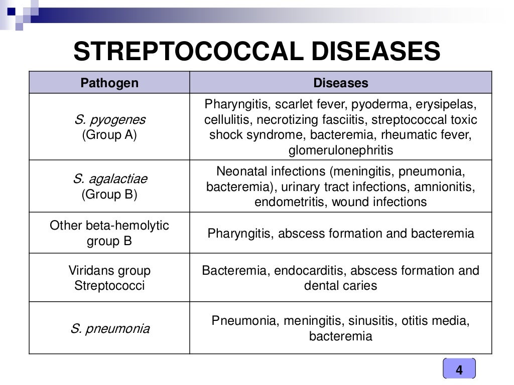 Medical Microbiology Laboratory (streptococcus spp.)