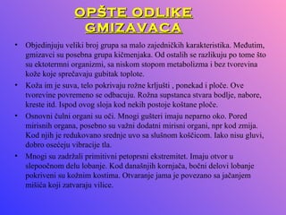 OPŠTE ODLIKE
                   GMIZAVACA
• Objedinjuju veliki broj grupa sa malo zajedničkih karakteristika. Međutim,
  gmizavci su posebna grupa kičmenjaka. Od ostalih se razlikuju po tome što
  su ektotermni organizmi, sa niskom stopom metabolizma i bez tvorevina
  kože koje sprečavaju gubitak toplote.
• Koža im je suva, telo pokrivaju rožne krljušti , ponekad i ploče. Ove
  tvorevine povremeno se odbacuju. Rožna supstanca stvara bodlje, nabore,
  kreste itd. Ispod ovog sloja kod nekih postoje koštane ploče.
• Osnovni čulni organi su oči. Mnogi gušteri imaju neparno oko. Pored
  mirisnih organa, posebno su važni dodatni mirisni organi, npr kod zmija.
  Kod njih je redukovano srednje uvo sa slušnom koščicom. Iako nisu gluvi,
  dobro osećeju vibracije tla.
• Mnogi su zadržali primitivni petoprsni ekstremitet. Imaju otvor u
  slepoočnom delu lobanje. Kod današnjih kornjača, bočni delovi lobanje
  pokriveni su kožnim kostima. Otvaranje jama je povezano sa jačanjem
  mišića koji zatvaraju vilice.
 