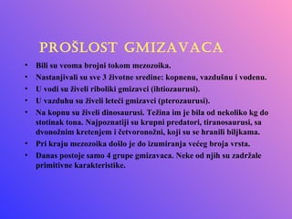 PROŠLOST GMIZAVACA
• Bili su veoma brojni tokom mezozoika.
• Nastanjivali su sve 3 životne sredine: kopnenu, vazdušnu i vodenu.
• U vodi su živeli riboliki gmizavci (ihtiozaurusi).
• U vazduhu su živeli leteći gmizavci (pterozaurusi).
• Na kopnu su živeli dinosaurusi. Težina im je bila od nekoliko kg do
  stotinak tona. Najpoznatiji su krupni predatori, tiranosaurusi, sa
  dvonožnim kretenjem i četvoronožni, koji su se hranili biljkama.
• Pri kraju mezozoika došlo je do izumiranja većeg broja vrsta.
• Danas postoje samo 4 grupe gmizavaca. Neke od njih su zadržale
  primitivne karakteristike.
 