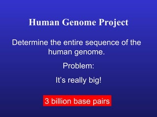 Human Genome Project Determine the entire sequence of the human genome. 3 billion base pairs Problem: It’s really big! 