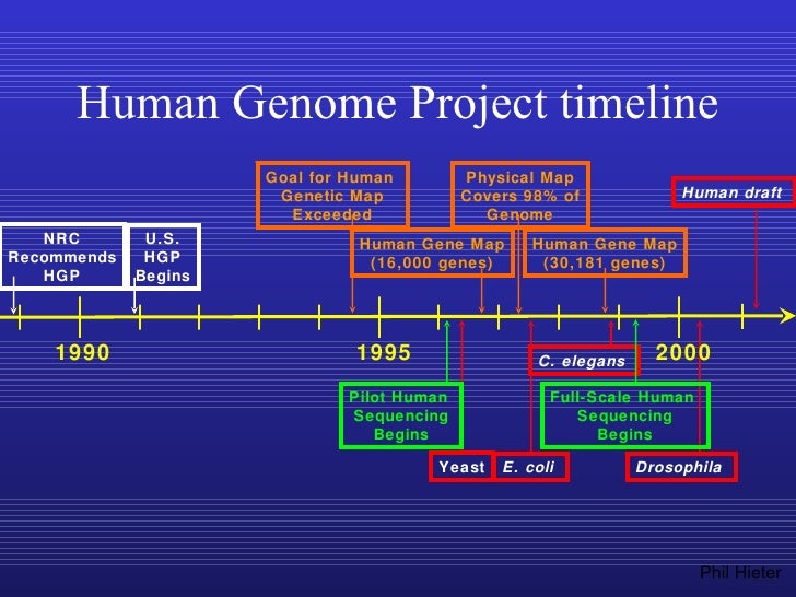 what is the human genome project