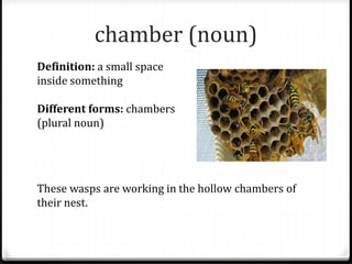 L14 journeys4th g-vocab | PPTX