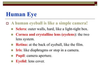 Human Eye
 A human eyeball is like a simple camera!
 Sclera: outer walls, hard, like a light-tight box.
 Cornea and crystalline lens (eyelens): the two
lens system.
 Retina: at the back of eyeball, like the film.
 Iris: like diaphragms or stop in a camera.
 Pupil: camera aperture.
 Eyelid: lens cover.
 