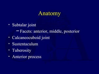 Anatomy
• Subtalar joint
─ Facets: anterior, middle, posterior
• Calcaneocuboid joint
• Sustentaculum
• Tuberosity
• Anterior process
 